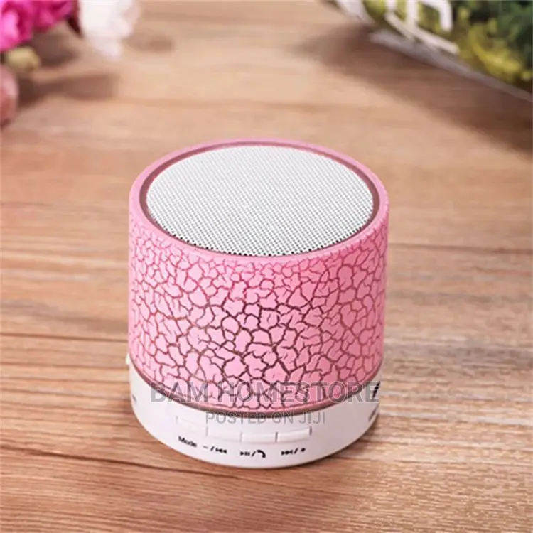 Radio Speaker