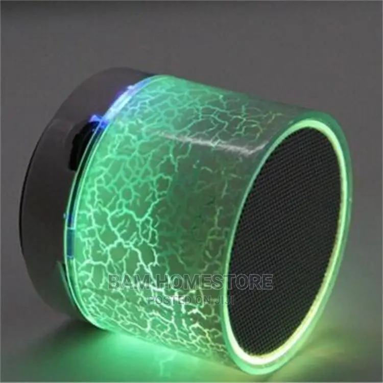 Radio Speaker