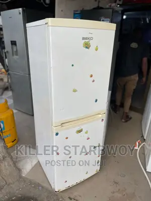 Fridge Inagandisha Sanaa