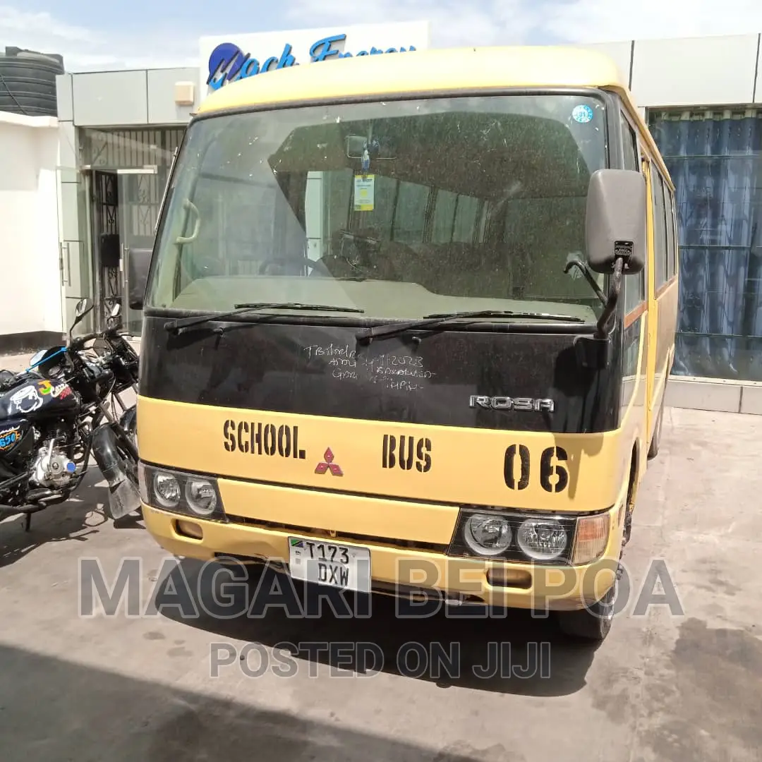 Mitsubishi Fuso Rosa 2000 Orange