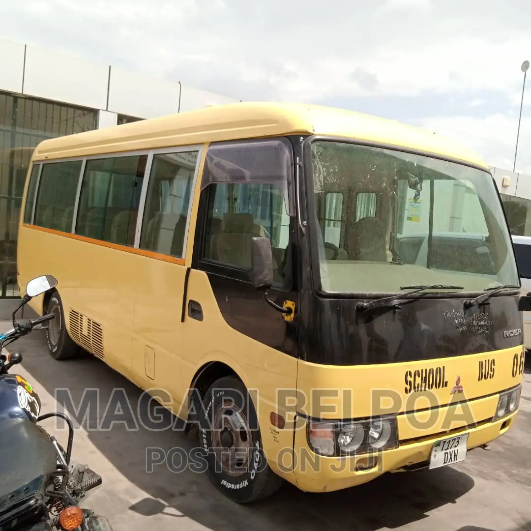 Mitsubishi Fuso Rosa 2000 Orange