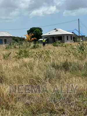 Kigamboni Cheka