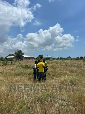 Kigamboni Cheka