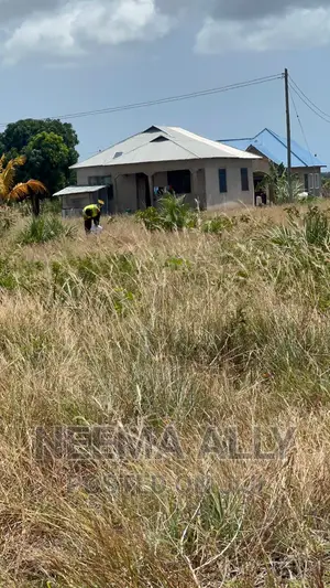 Kigamboni Cheka