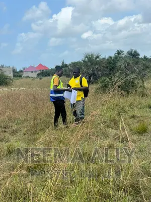 Kigamboni Cheka Amani Gomvu