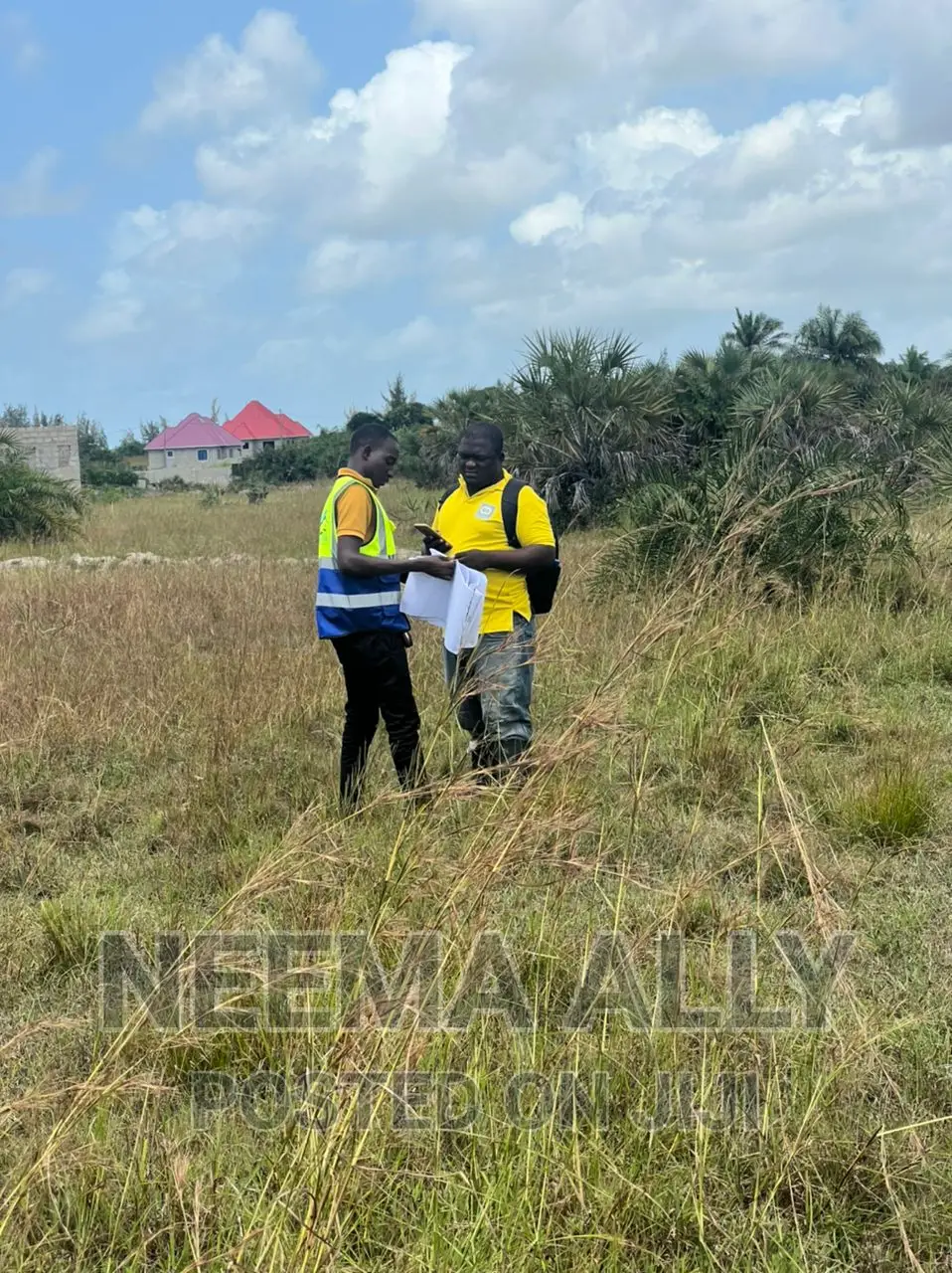 Kigamboni Cheka Amani Gomvu