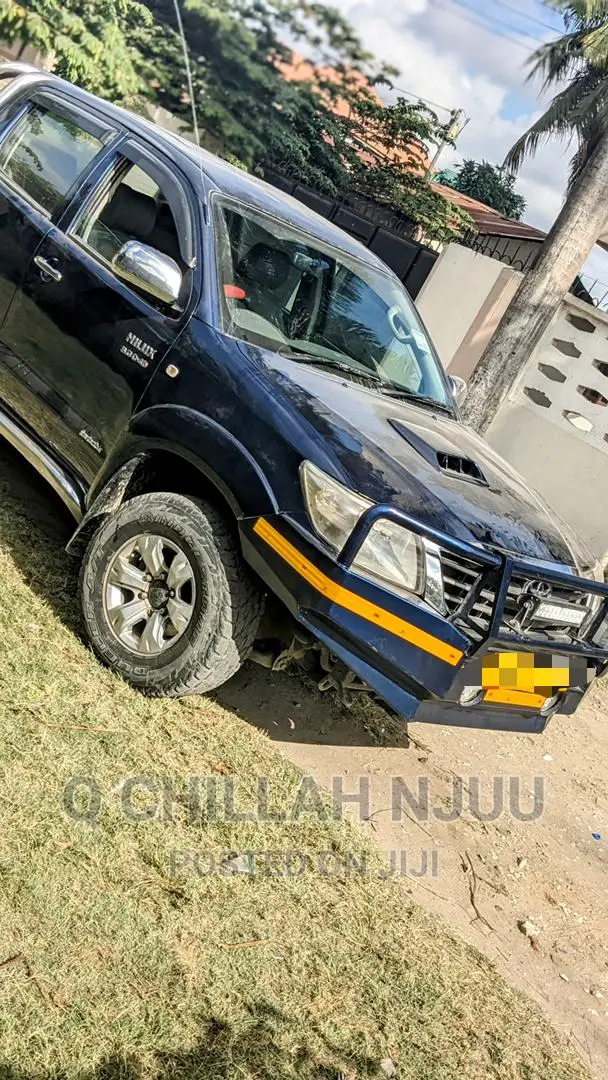 Toyota Hilux 2008 Blue