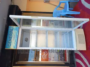 Display Fridge Lita 320