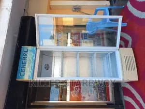 Display Fridge Lita 320