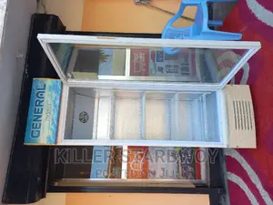 Display Fridge Lita 320