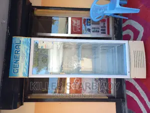 Display Fridge Lita 320