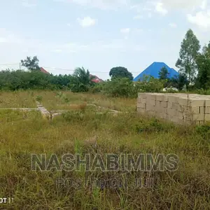 Corner Plot for Sale in Tanga Pongwe