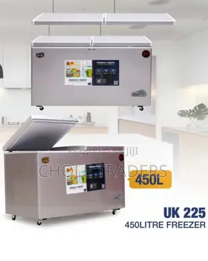 450-Litres 2-Door Freezer