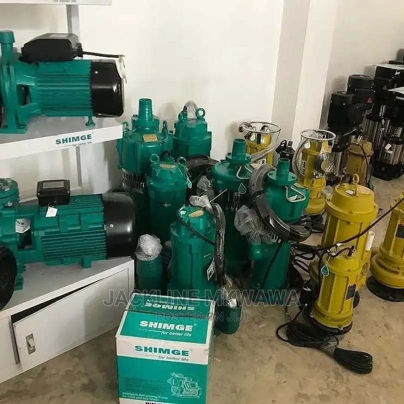Shimge Pumps