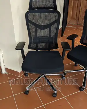 Ergonomic Office Chairs