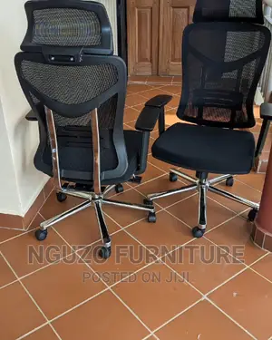 Ergonomic Office Chairs