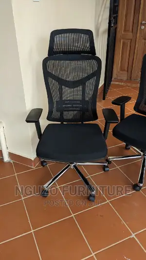 Ergonomic Office Chairs