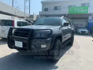 Toyota Hilux Surf 2004 Gray