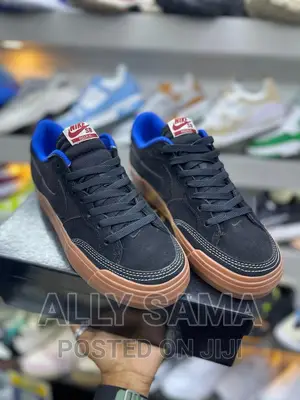 Nikesb Sneakers