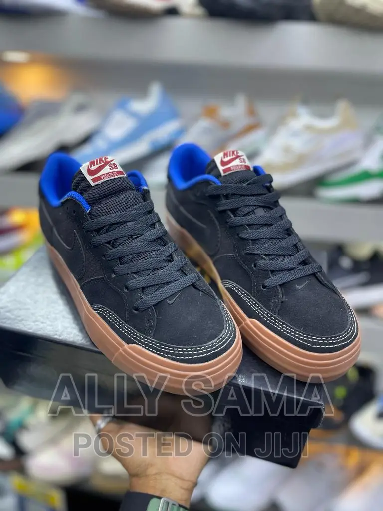 Nikesb Sneakers