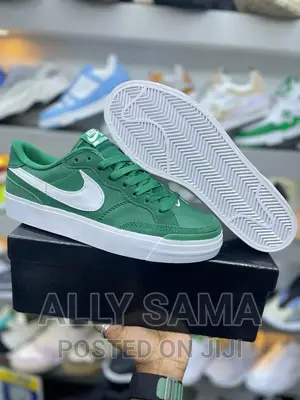 Nikesb Sneakers