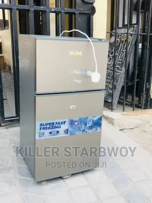 Fridge Boss Lita 53