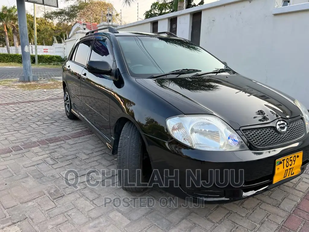 Toyota Corolla RunX 2004 Black