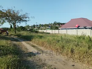 Kiwanja Mtaa Mzuri