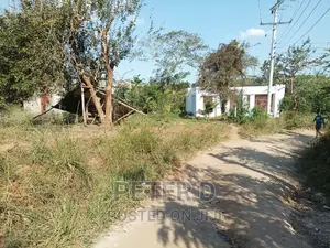 Tambarale Sana