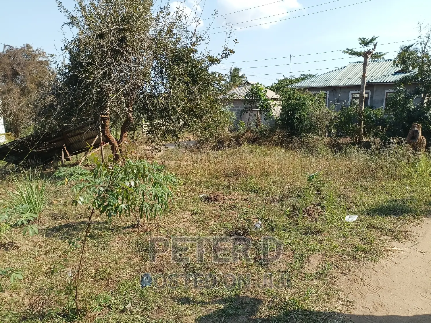 Tambarale Sana