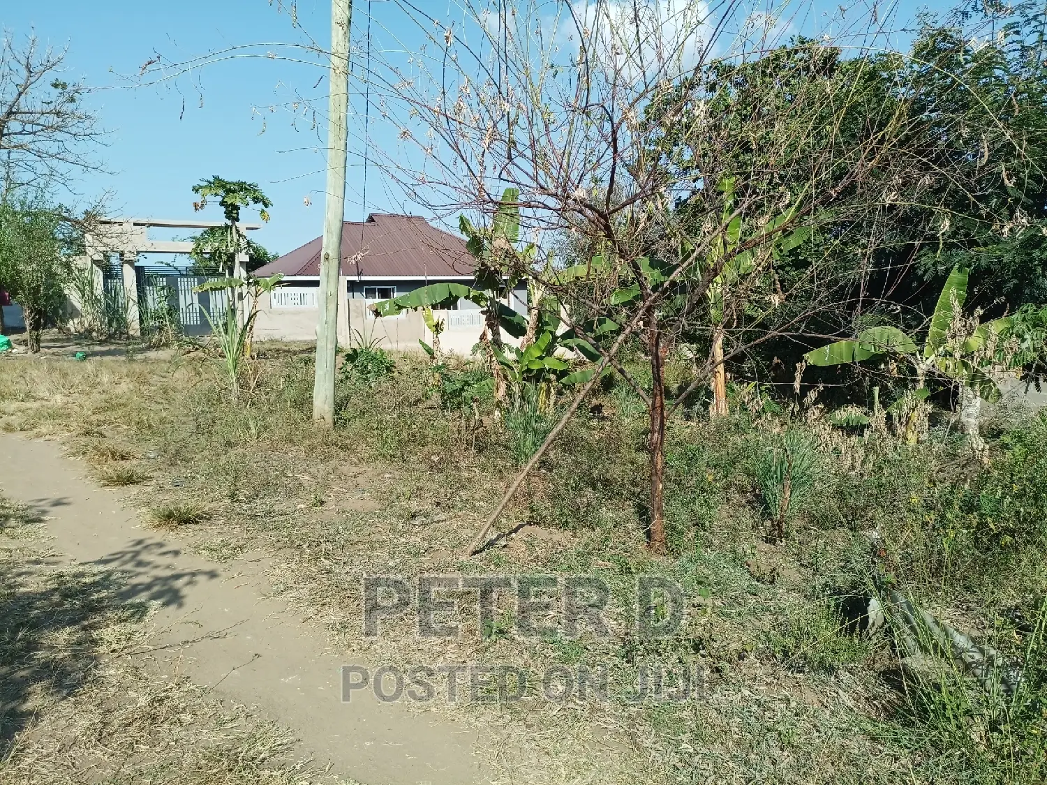 Tambarale Sana