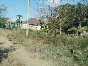 Tambarale Sana