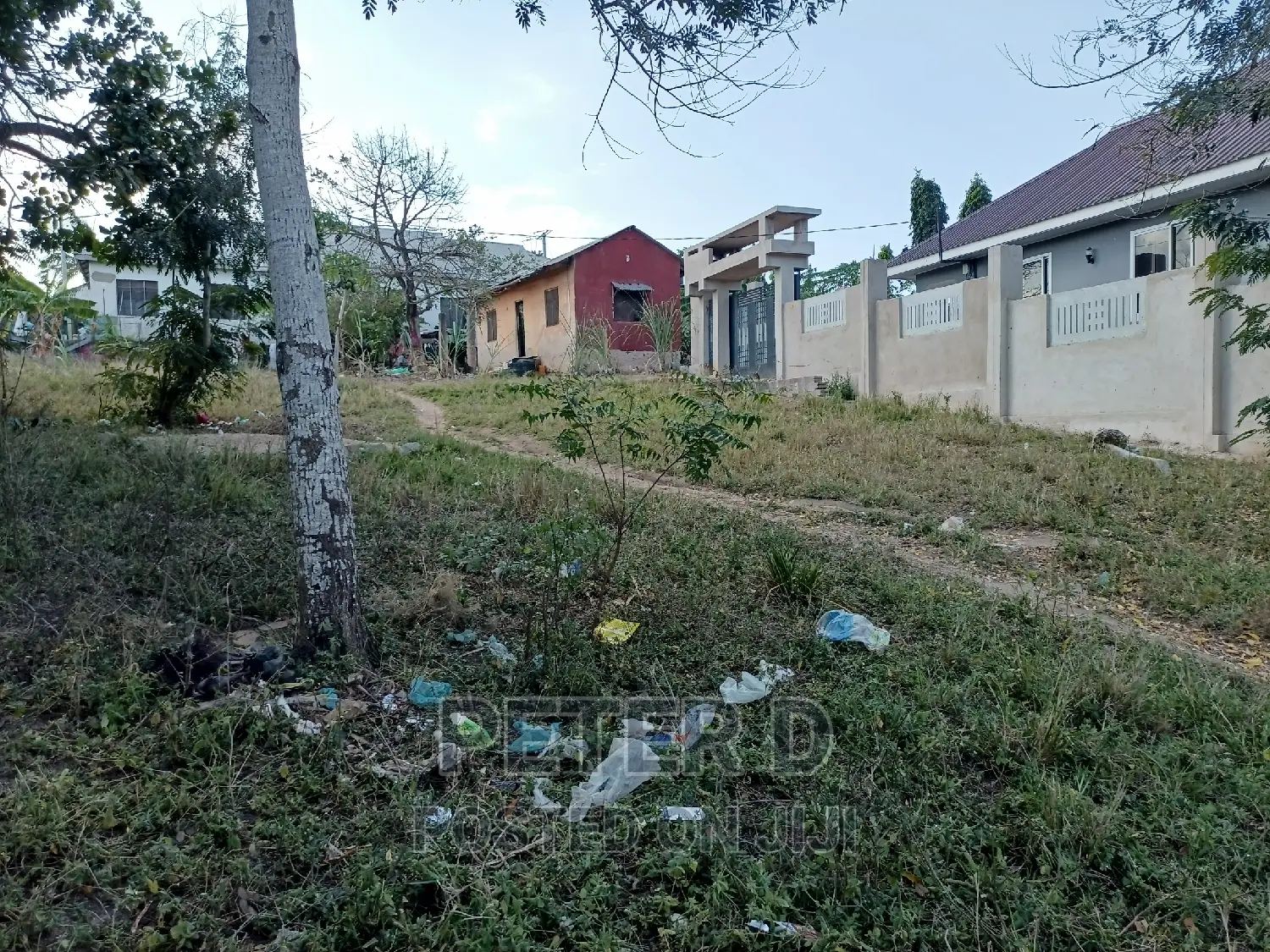 Tambarale Sana