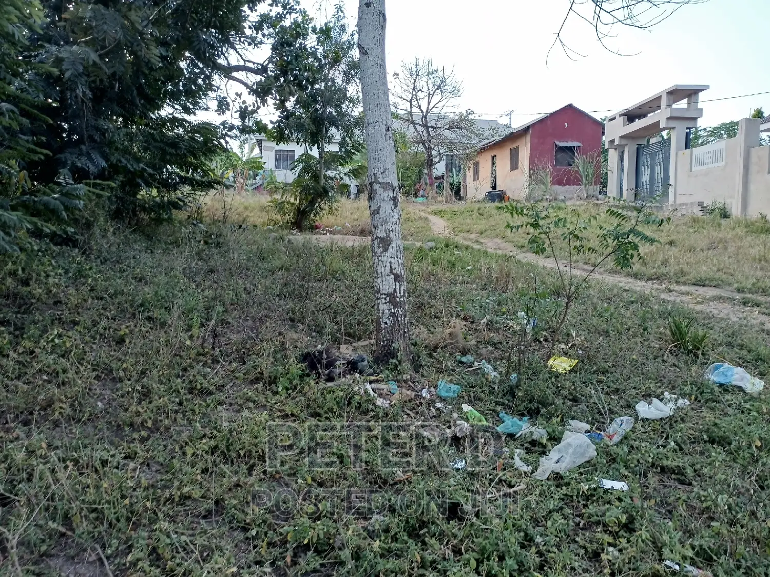 Tambarale Sana