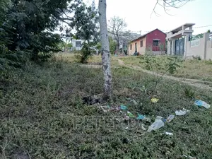 Tambarale Sana