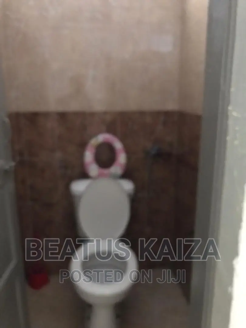 Furnished 2bdrm Block of Flats in Upanga for sale