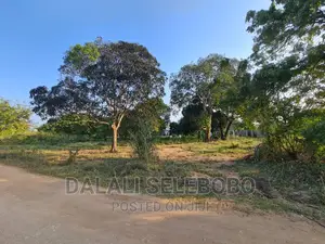 Beach Plot at Kigamboni Mwongozo