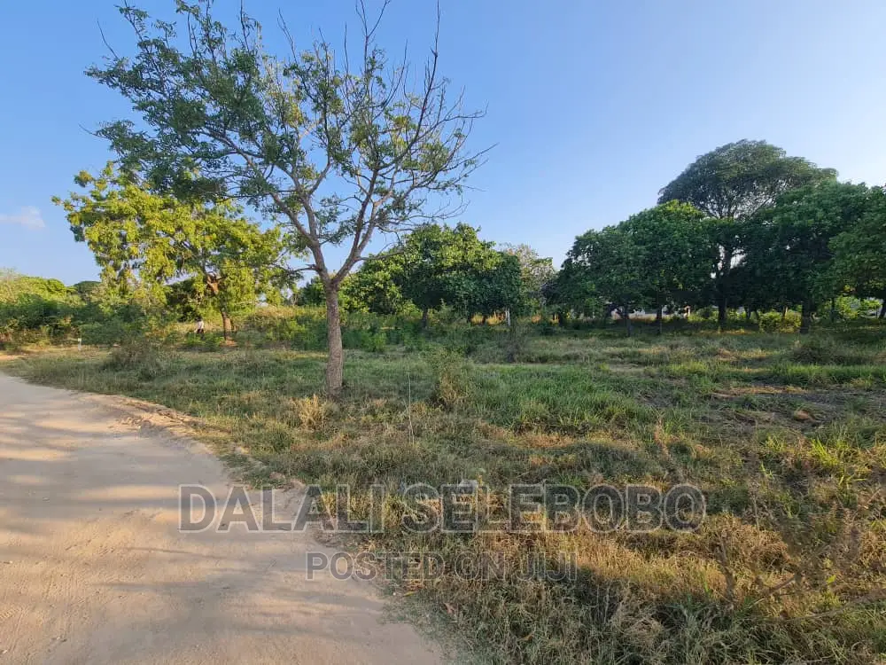 Beach Plot at Kigamboni Mwongozo