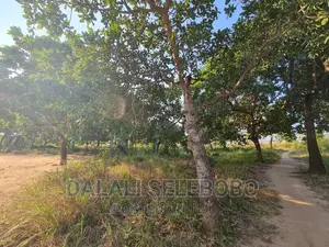 Beach Plot at Kigamboni Mwongozo