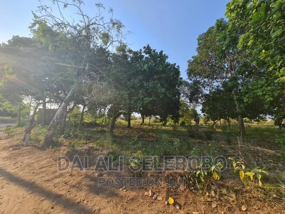 Beach Plot at Kigamboni Mwongozo