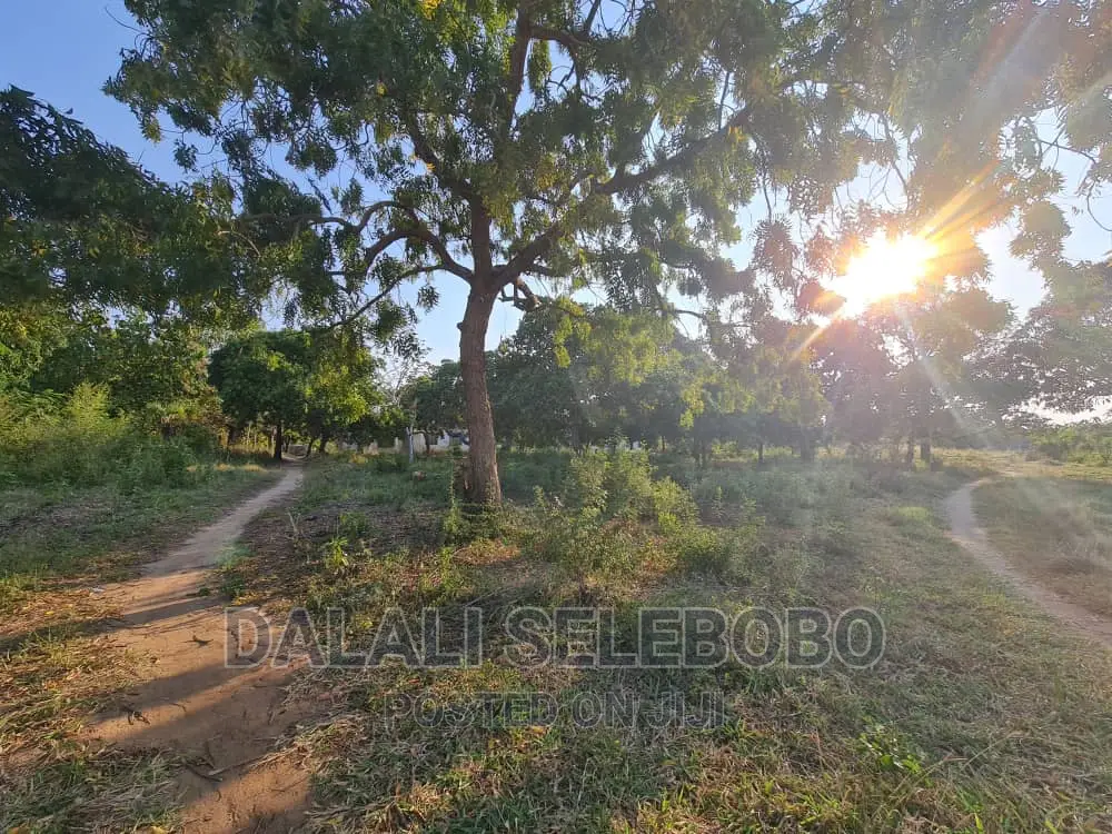 Beach Plot at Kigamboni Mwongozo