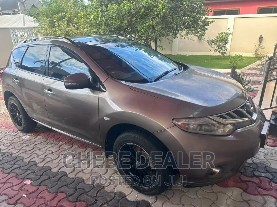 Nissan Murano LE 2012 Gray