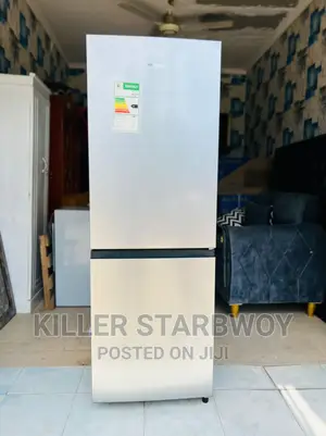 Fridge Hisense Lita 223