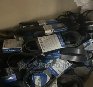 Fan Belts Available by FED