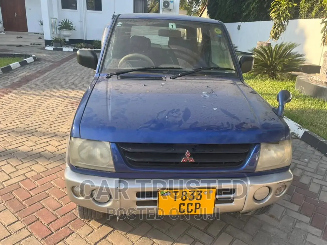 Mitsubishi Pajero Junior 2000 Blue