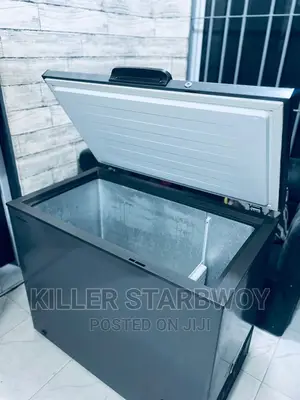 Hisense Lita 250