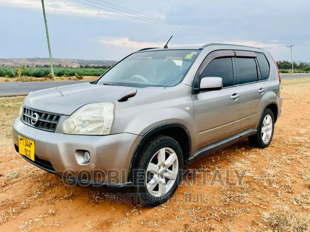 Nissan X-Trail 2.0 2007 Silver
