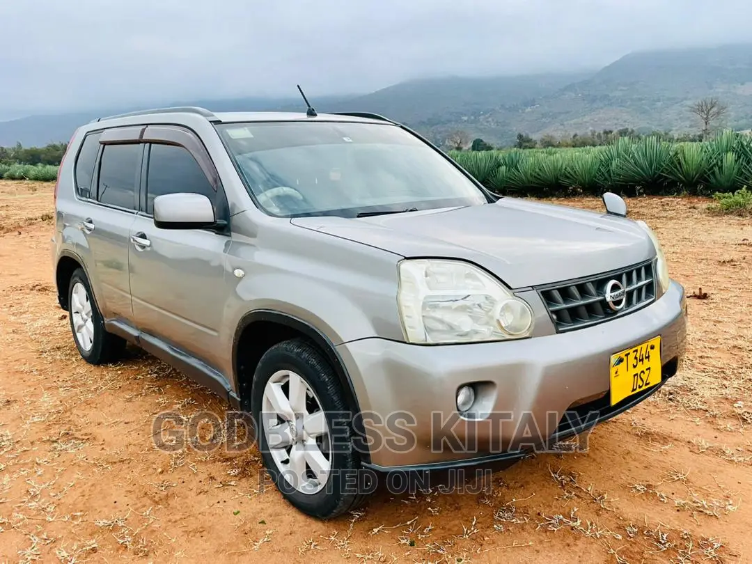 Nissan X-Trail 2.0 2007 Silver