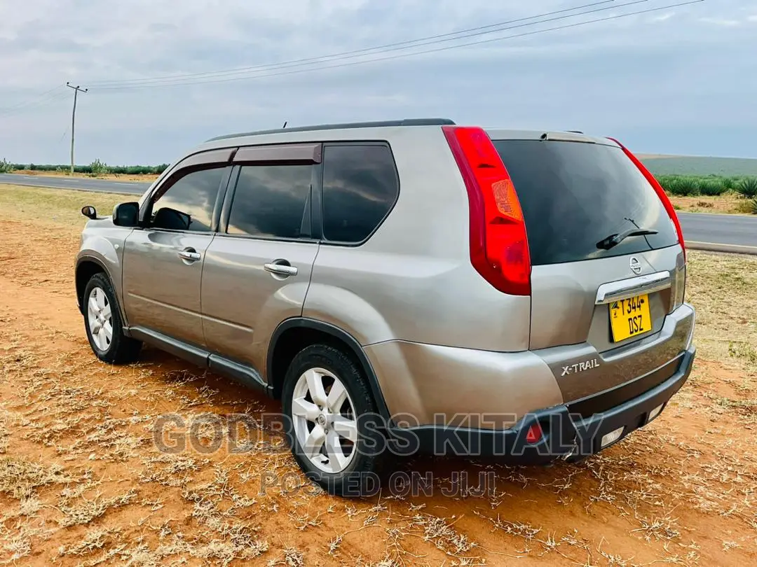 Nissan X-Trail 2.0 2007 Silver