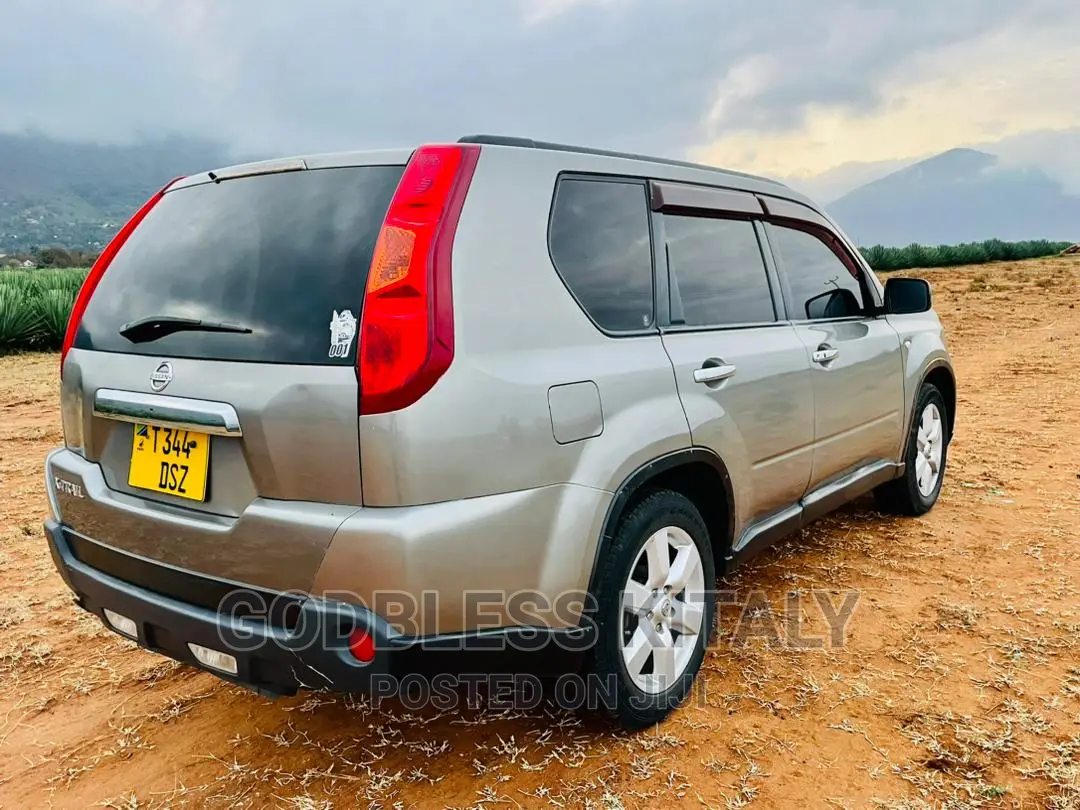 Nissan X-Trail 2.0 2007 Silver